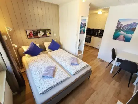 Location appartement à Disentis, Alpine Studio