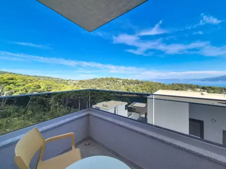 Villa Aloa I, Brač – piscine privée et vue mer : photo 50