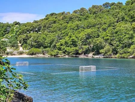 Villa Aloa I, Brač – piscine privée et vue mer : photo 53
