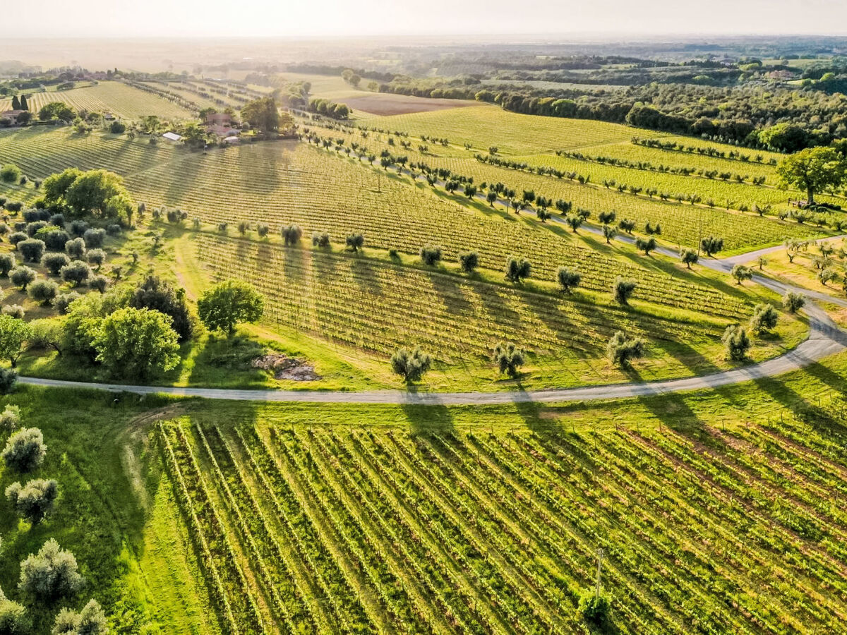 Casale Bolgherese – Apt 4 pièces 100m² à Bolgheri - Photo 32