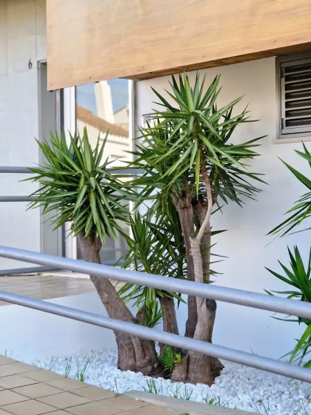 Charmant Appartement avec Piscine à Sanlúcar de Barrameda : photo 15