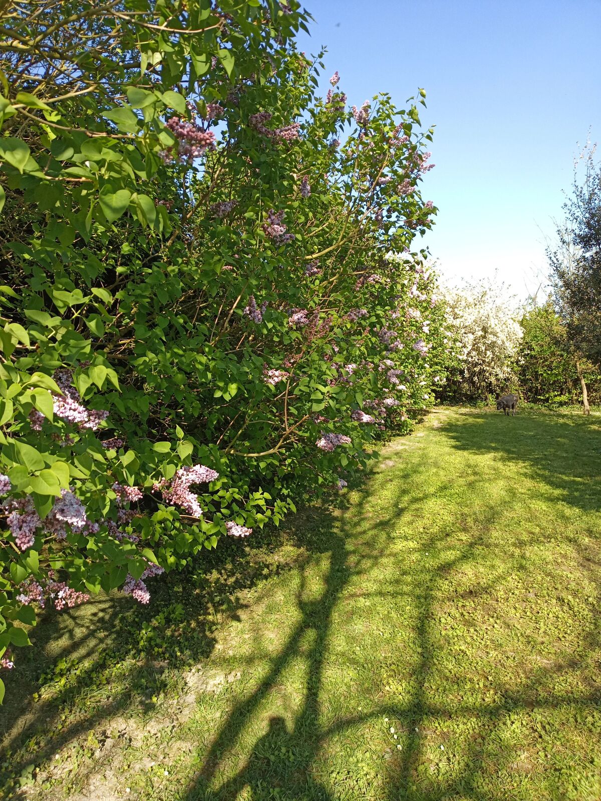 Maison 5 chambres avec spa et jardin d'activités à Assay - Photo 52