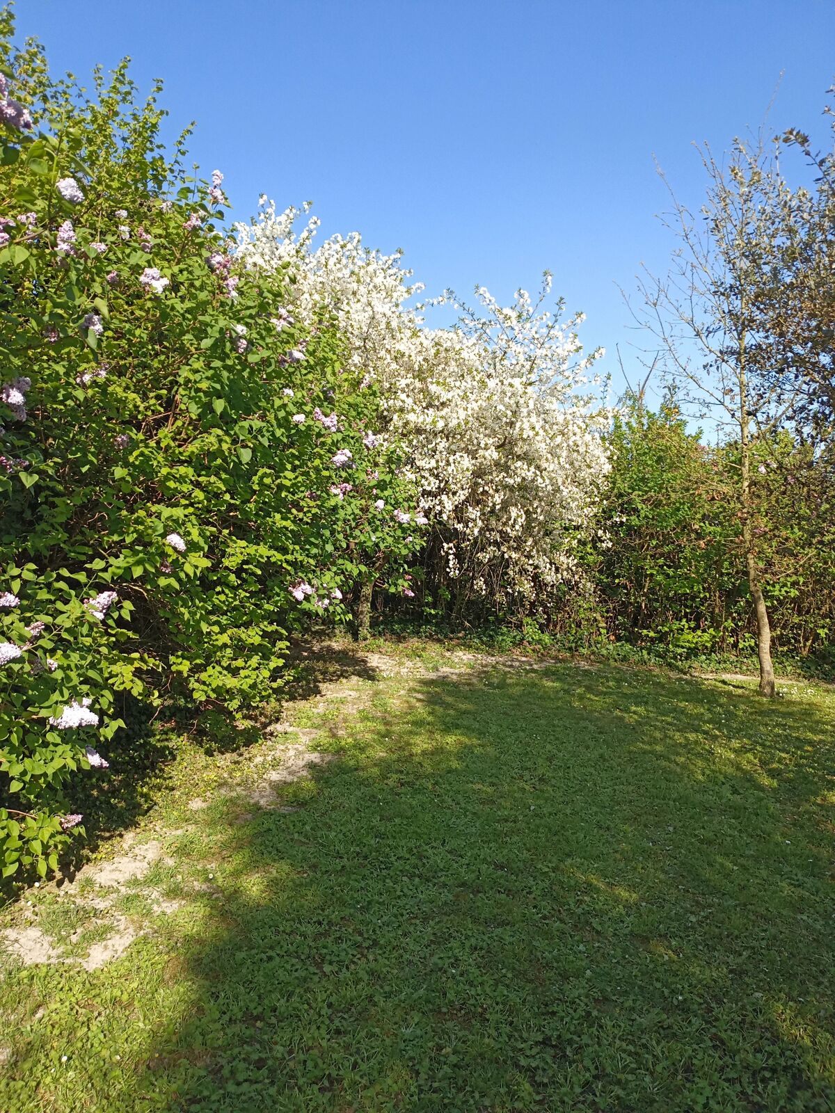Maison 5 chambres avec spa et jardin d'activités à Assay - Photo 56