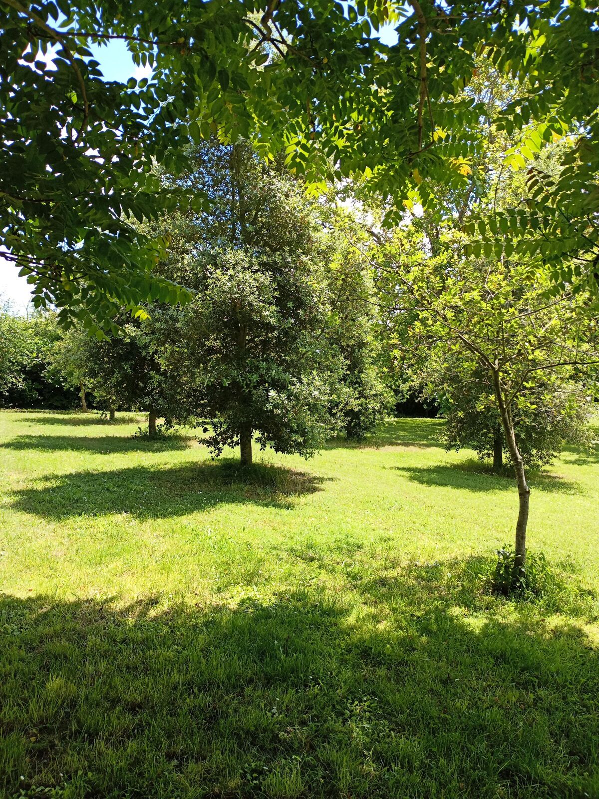Maison 5 chambres avec spa et jardin d'activités à Assay - Photo 58