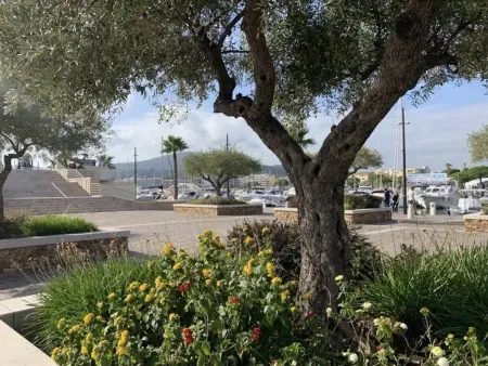 Villa avec piscine privée et jardin à Sainte-Maxime, proche plage : photo 23