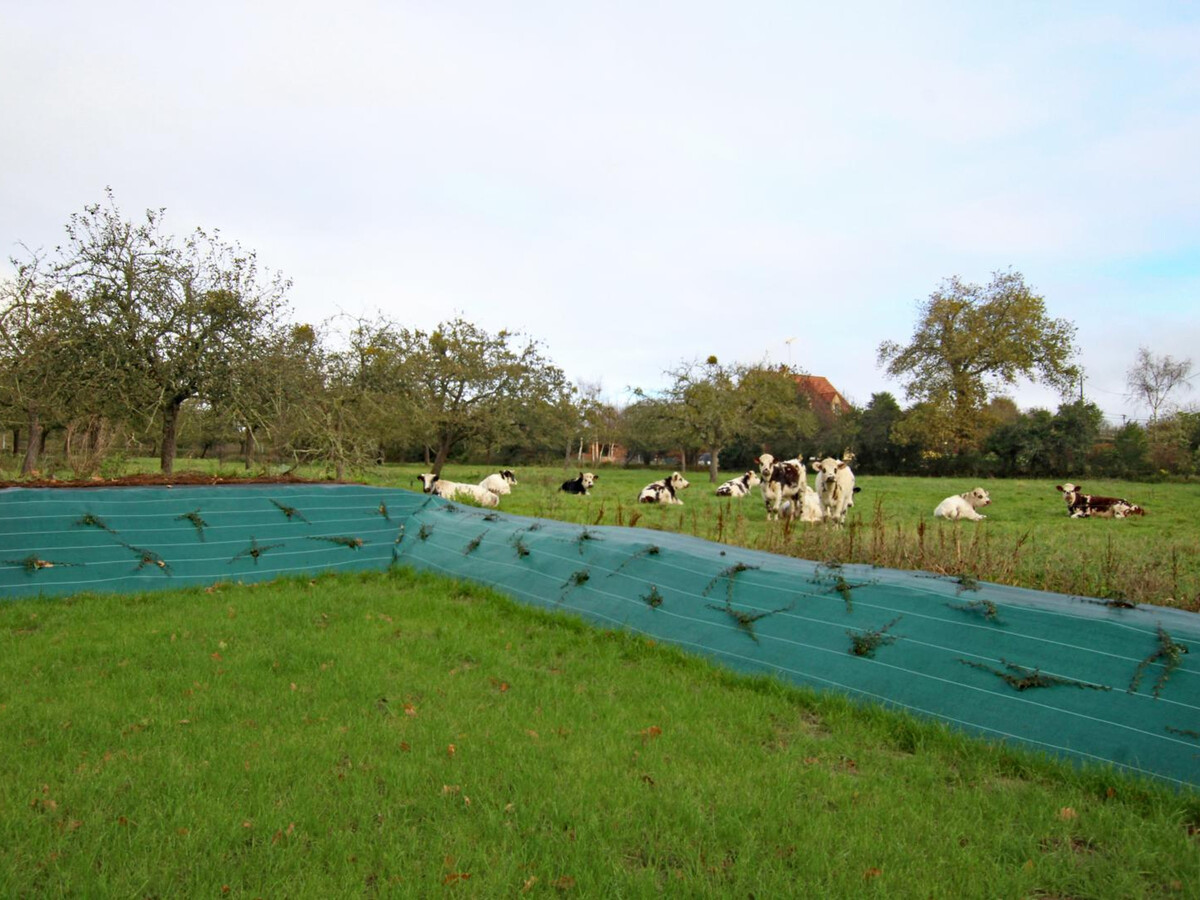 Gîte normand 8 pers. avec jardin et barbecue près des plages - Photo 16