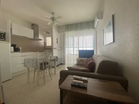 Location appartement à Balaruc les Bains, Appartement, animaux admis, clim - vue sur létang