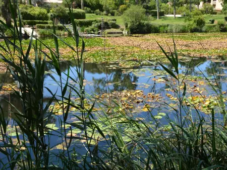 Appartement vue lac à Six-Fours-les-Plages, 4 pers. : photo 8