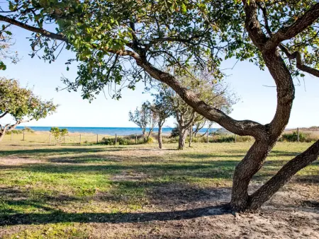 Lodge Premium 6p avec accès direct plage à Santa Maria-Poggio : photo 26