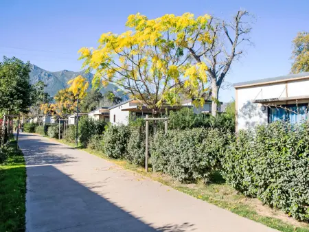 Lodge Premium 6p avec accès direct plage à Santa Maria-Poggio : photo 32