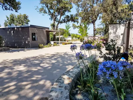 Lodge Premium 6p avec accès direct plage à Santa Maria-Poggio : photo 35