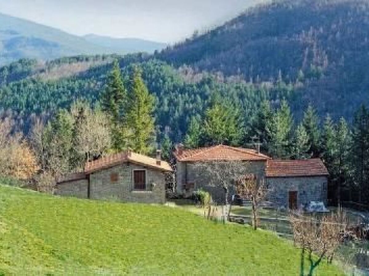Duplex avec piscine et jardin privatif à Capolona - Photo 1