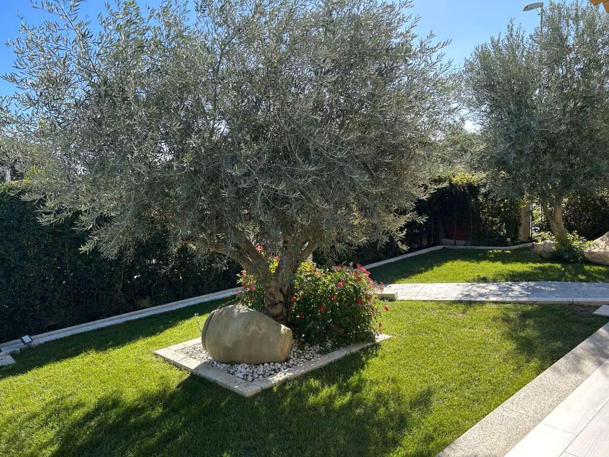 Villa Rei M&M – 8 pers., piscine saisonnière à Costa Rei - Photo 18