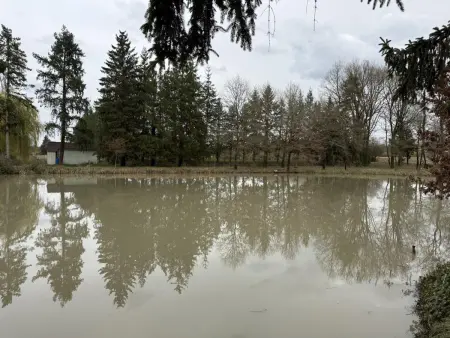 Gîte 6 pers. avec plan d'eau privé et 3 ha - Sologne : photo 2