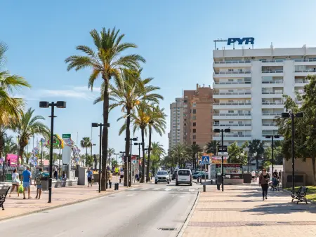 Studio vue mer à Fuengirola, 52 m² front de plage : photo 25