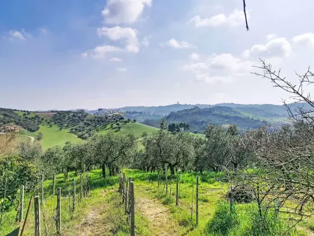 Location gite à Picciano, Velias House