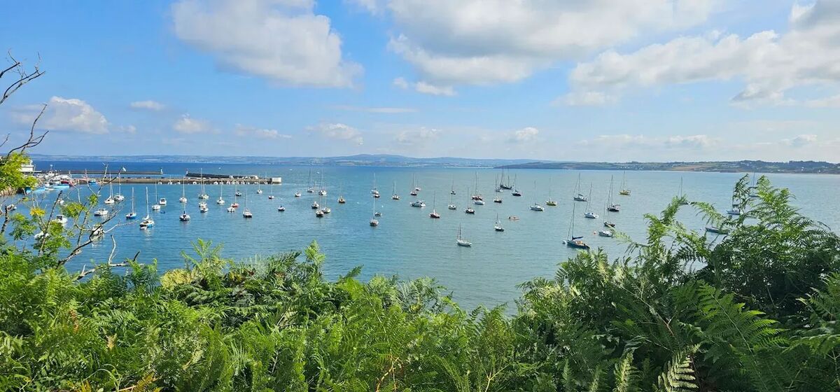 Maison 6 pers. à Douarnenez avec jardin clôturé et barbecue - Photo 17