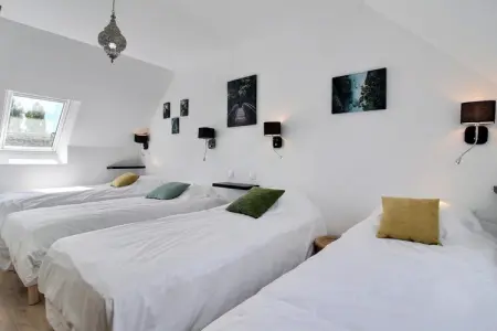 Maison 15 personnes à Neulliac, terrasse 50 m² : photo 12