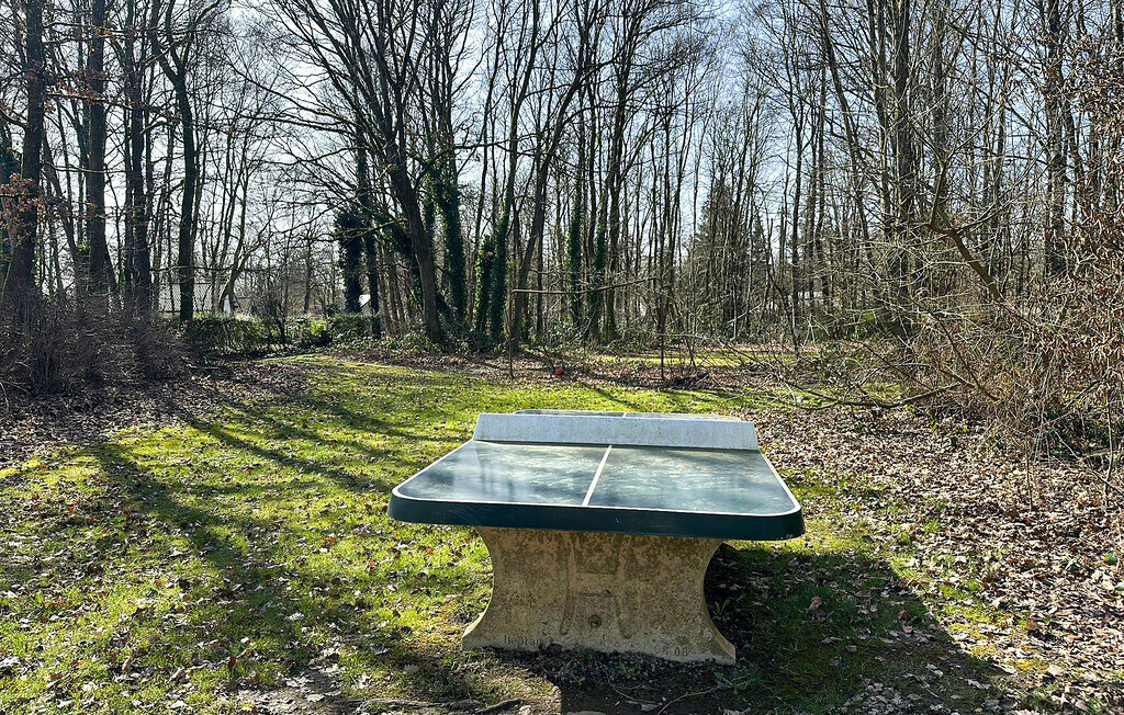 Maison 8 personnes avec terrain naturel à Rendeux - Photo 8