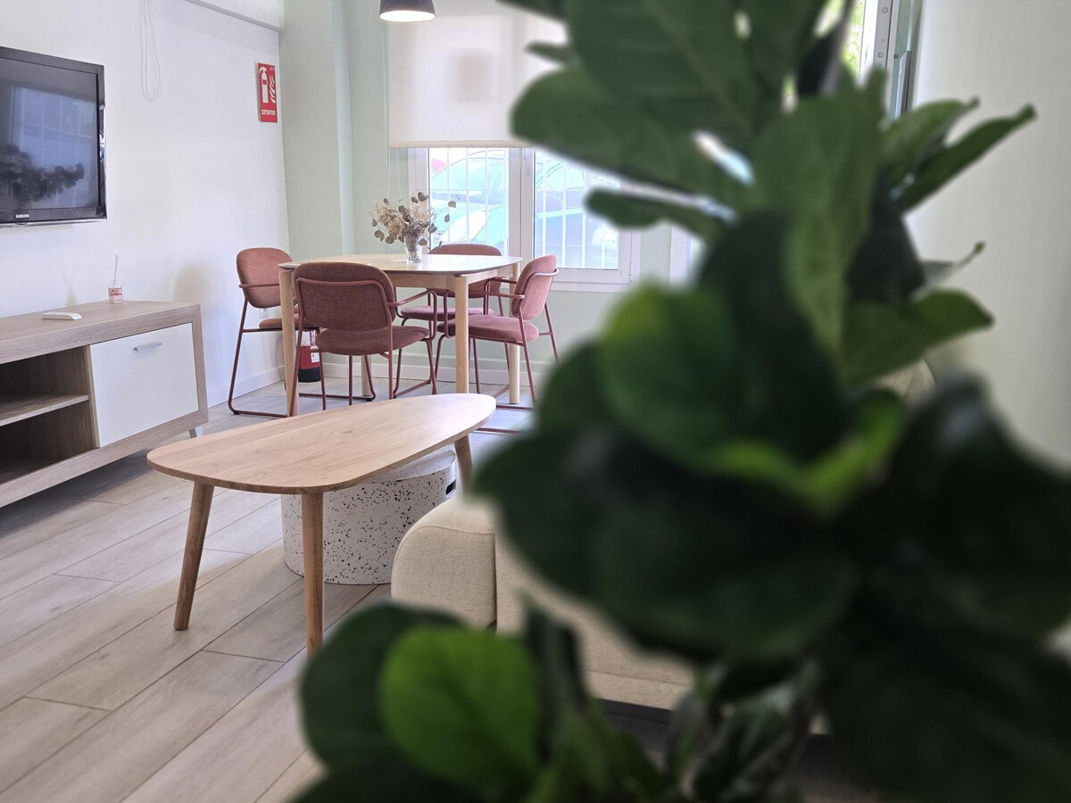 Suite Olive, design épuré à La Trinidad, Málaga - Photo 1