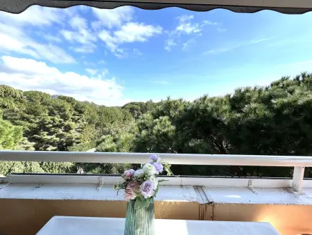 Location appartement à Six Fours les Plages, Appartement vue pinède - 4 pers.