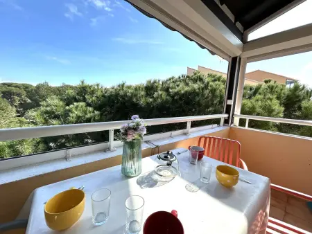 Appartement vue pinède avec terrasse à Six-Fours : photo 2