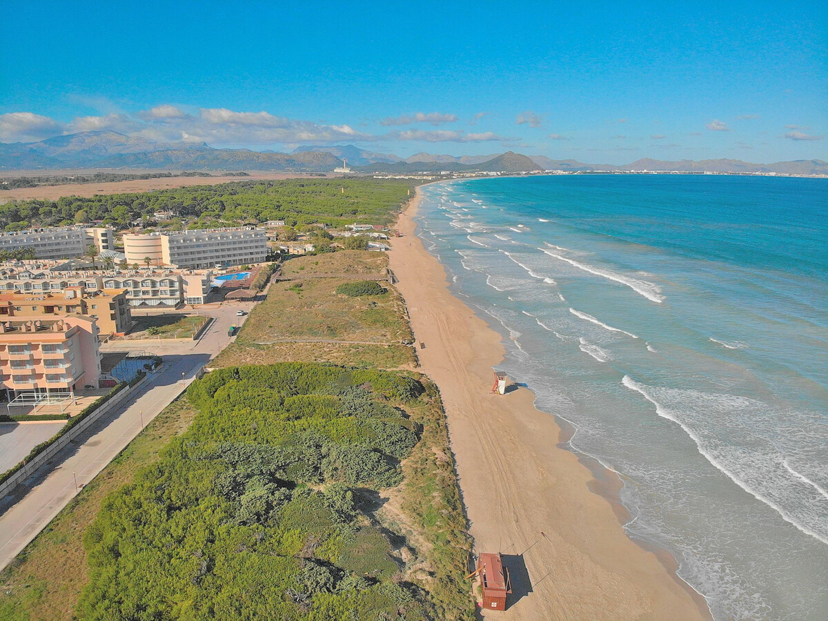 Appartement première ligne de mer - Can Picafort - Photo 20