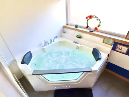 Maison avec sauna et bain à bulles privés à Coo, au bord de la rivière : photo 24
