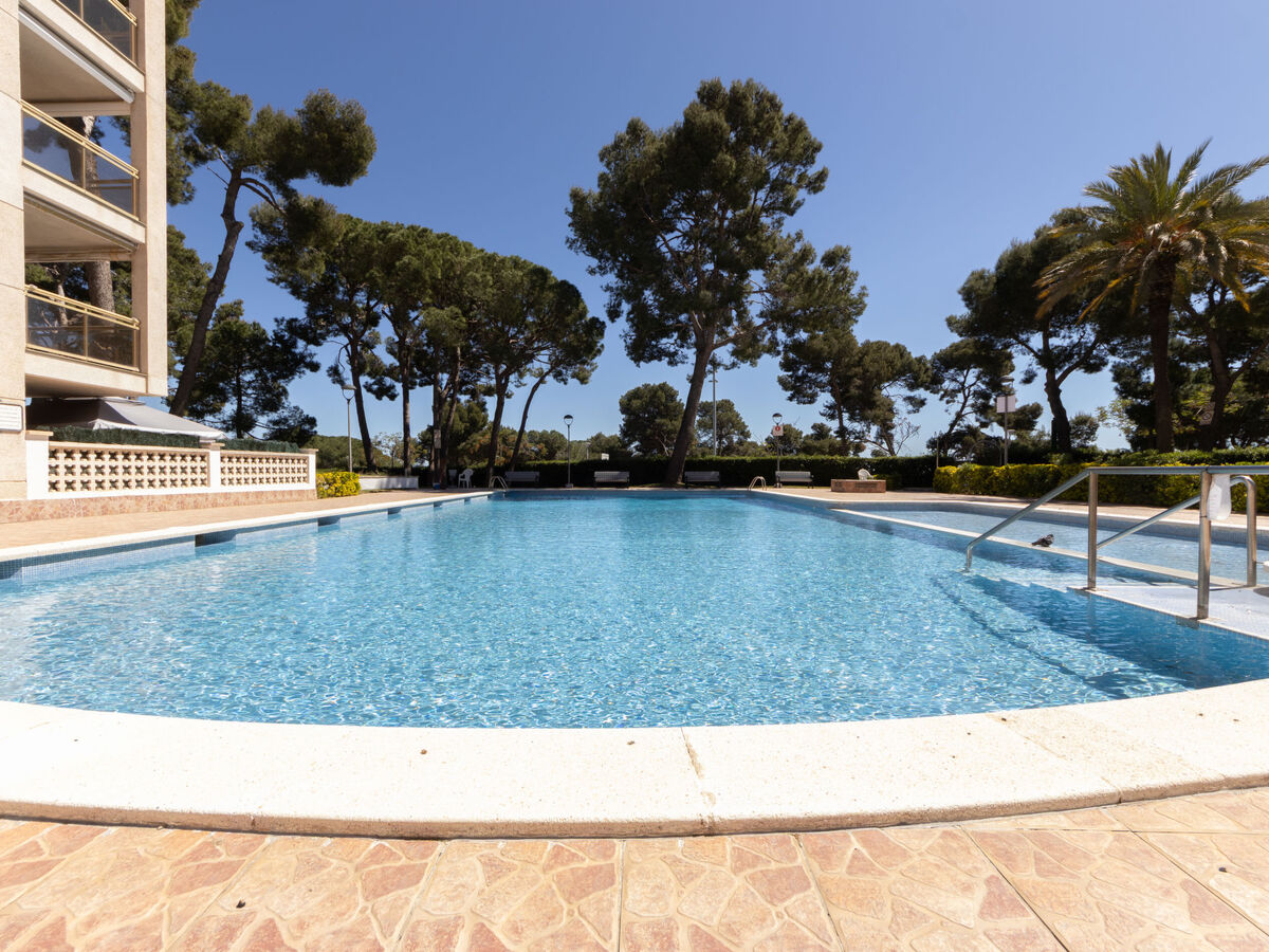 Cala Dorada, apt 40 m² à 200 m de la plage - Photo 31
