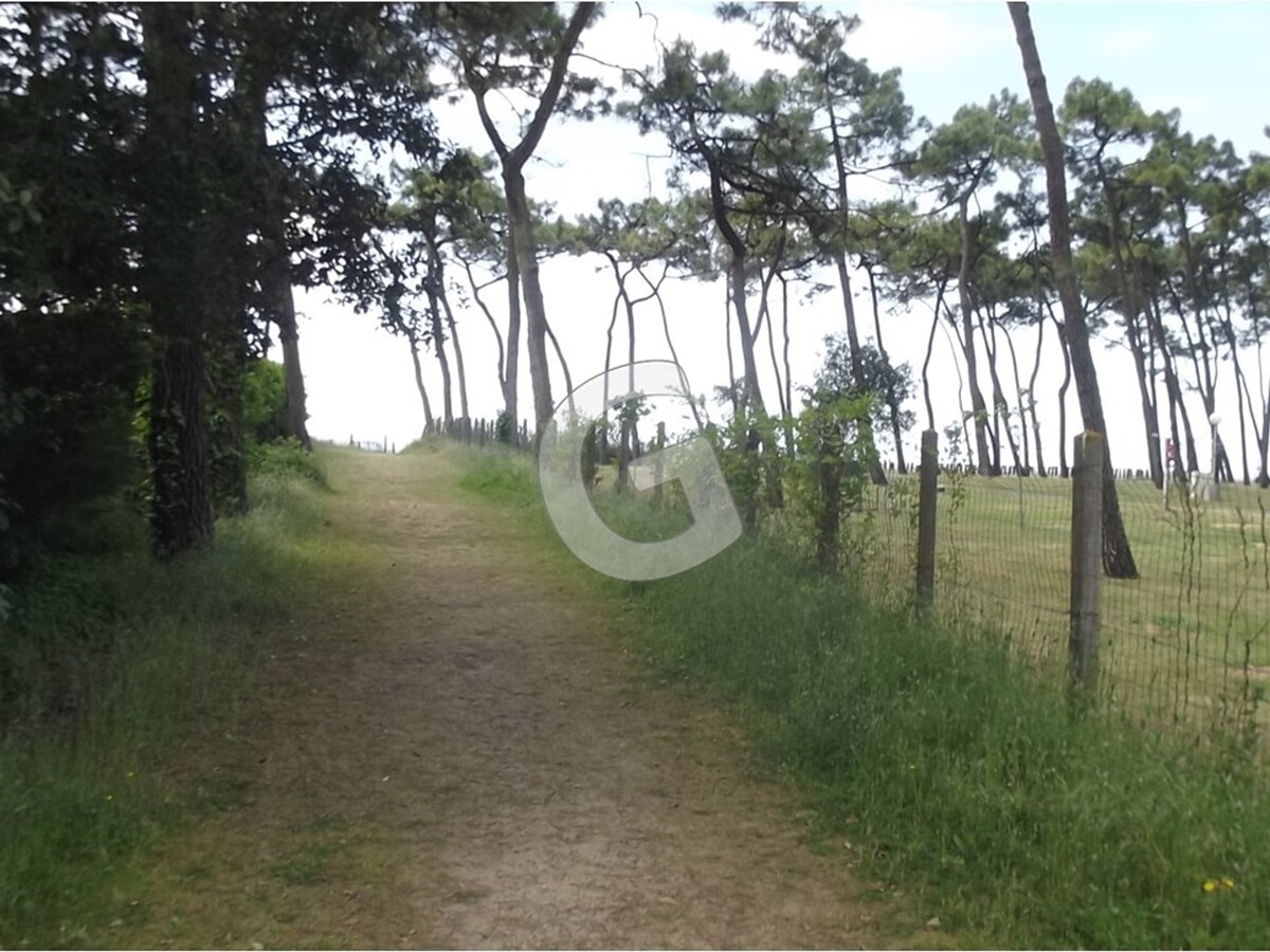 La Grière : maison 6 pers. à 700m de la plage - Photo 22