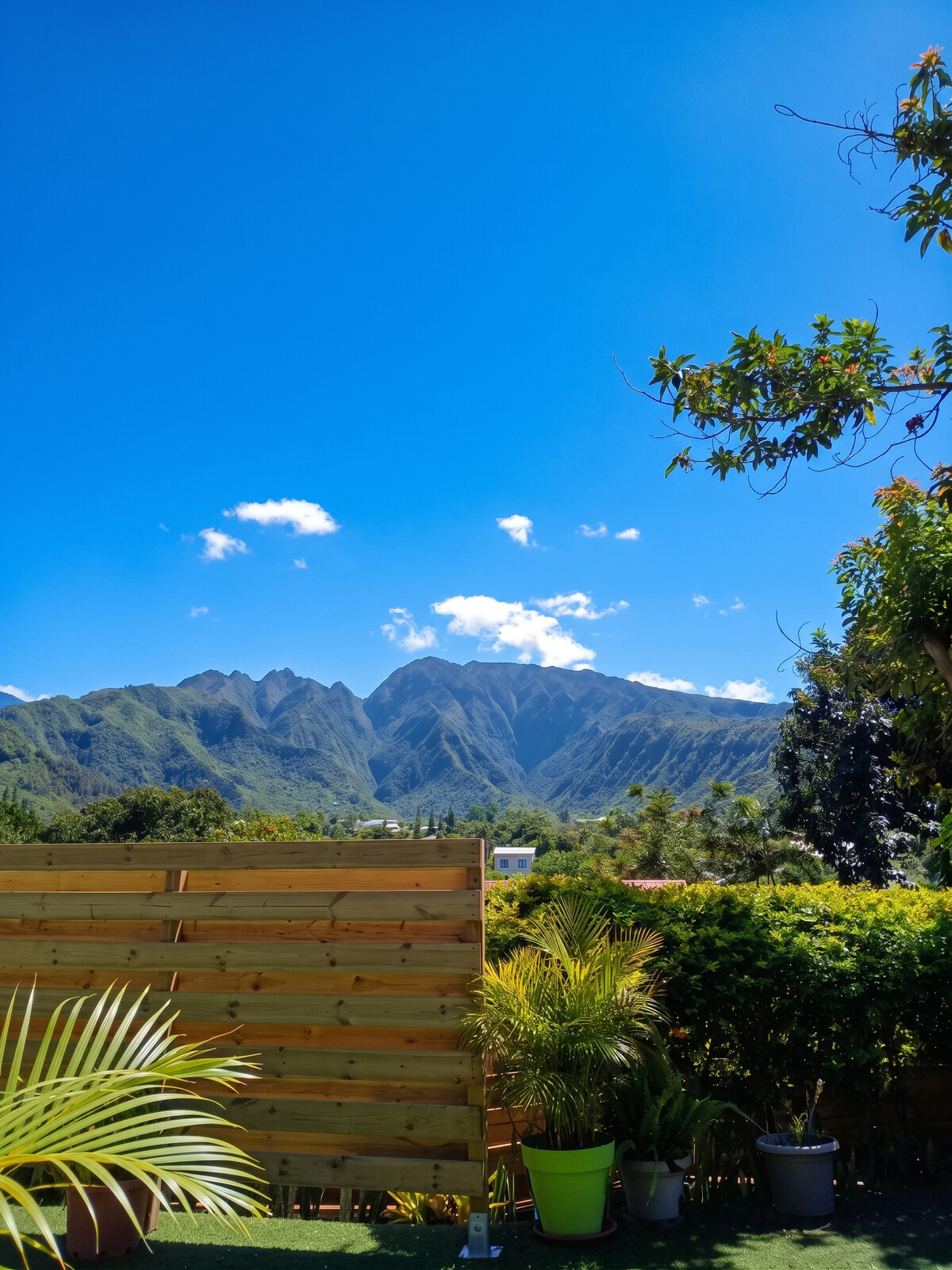 Maison avec spa et vue montagne à Entre-Deux, La Réunion - Photo 5