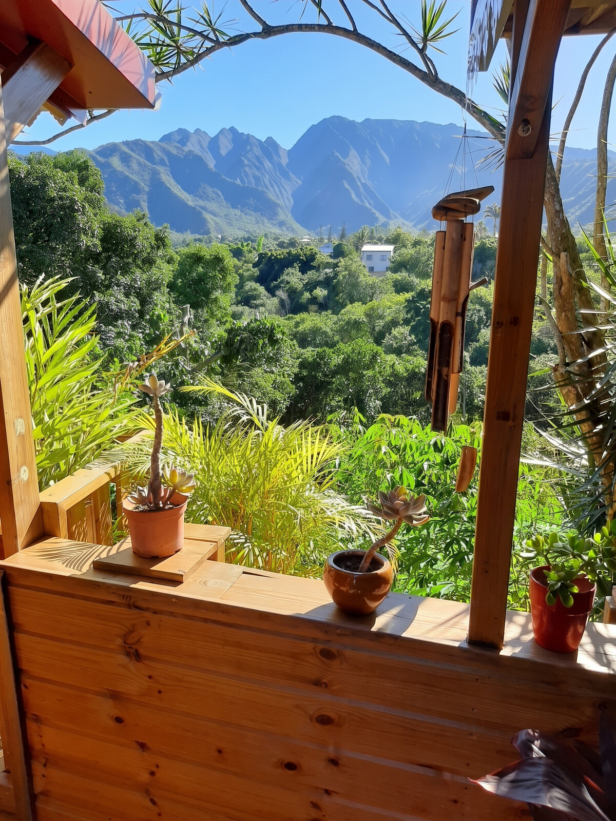 Maison avec spa et vue montagne à Entre-Deux, La Réunion - Photo 13