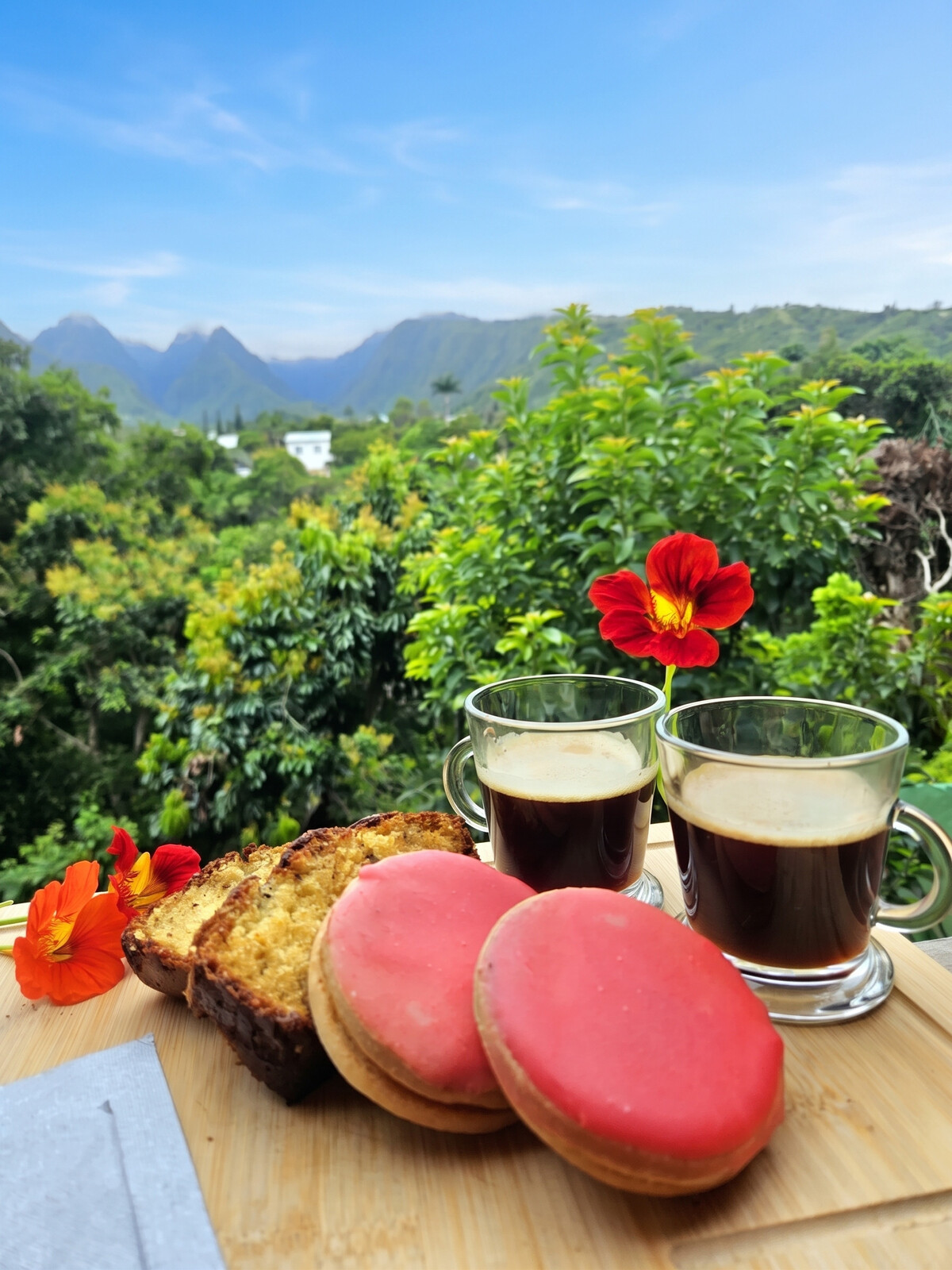 Maison avec spa et vue montagne à Entre-Deux, La Réunion - Photo 27