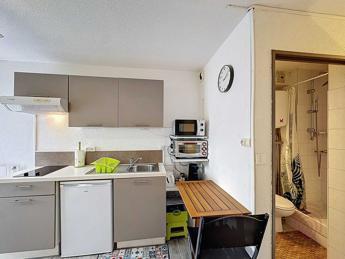 Studio 17 m² avec animaux acceptés à Lamalou-les-Bains - Photo 13