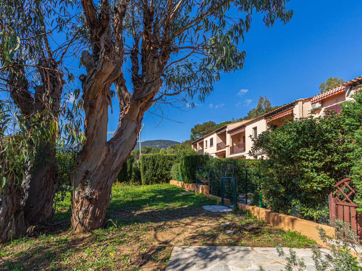 Apt 3 pièces 60 m² avec terrasse vue mer à Cavalaire - Photo 2