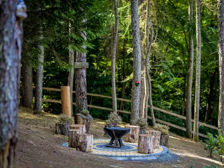 Chalet Pine Hill à Klenovnik – piscine et forêt : photo 37