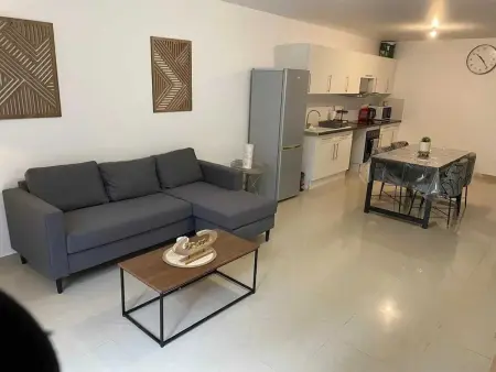 Appartement avec jardin clos et terrasse à Troyes, 2 chambres : photo 2