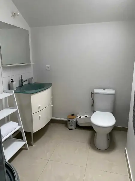 Appartement avec jardin clos et terrasse à Troyes, 2 chambres : photo 12