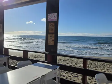 Appartement Royal Beach face à la mer - Calahonda : photo 15