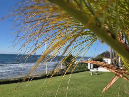 Appartement Royal Beach face à la mer - Calahonda : photo 21