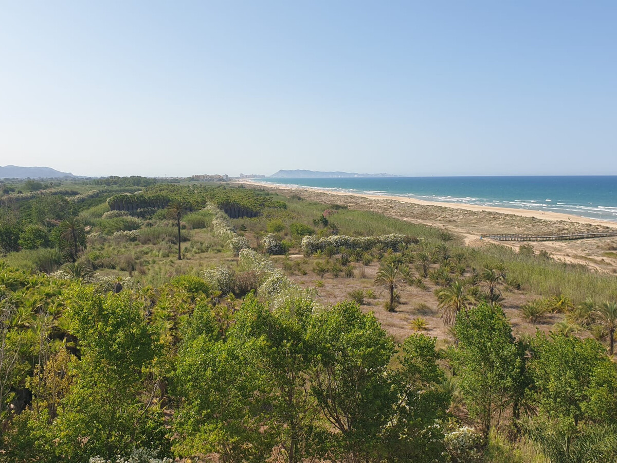 Appartement 6 pers. en front de plage à Gandía - Photo 9