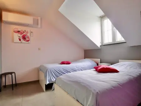 Le Congo : maison 18 personnes avec piscine chauffée à Ochamps : photo 23
