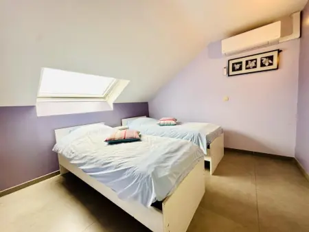 Le Congo : maison 18 personnes avec piscine chauffée à Ochamps : photo 25