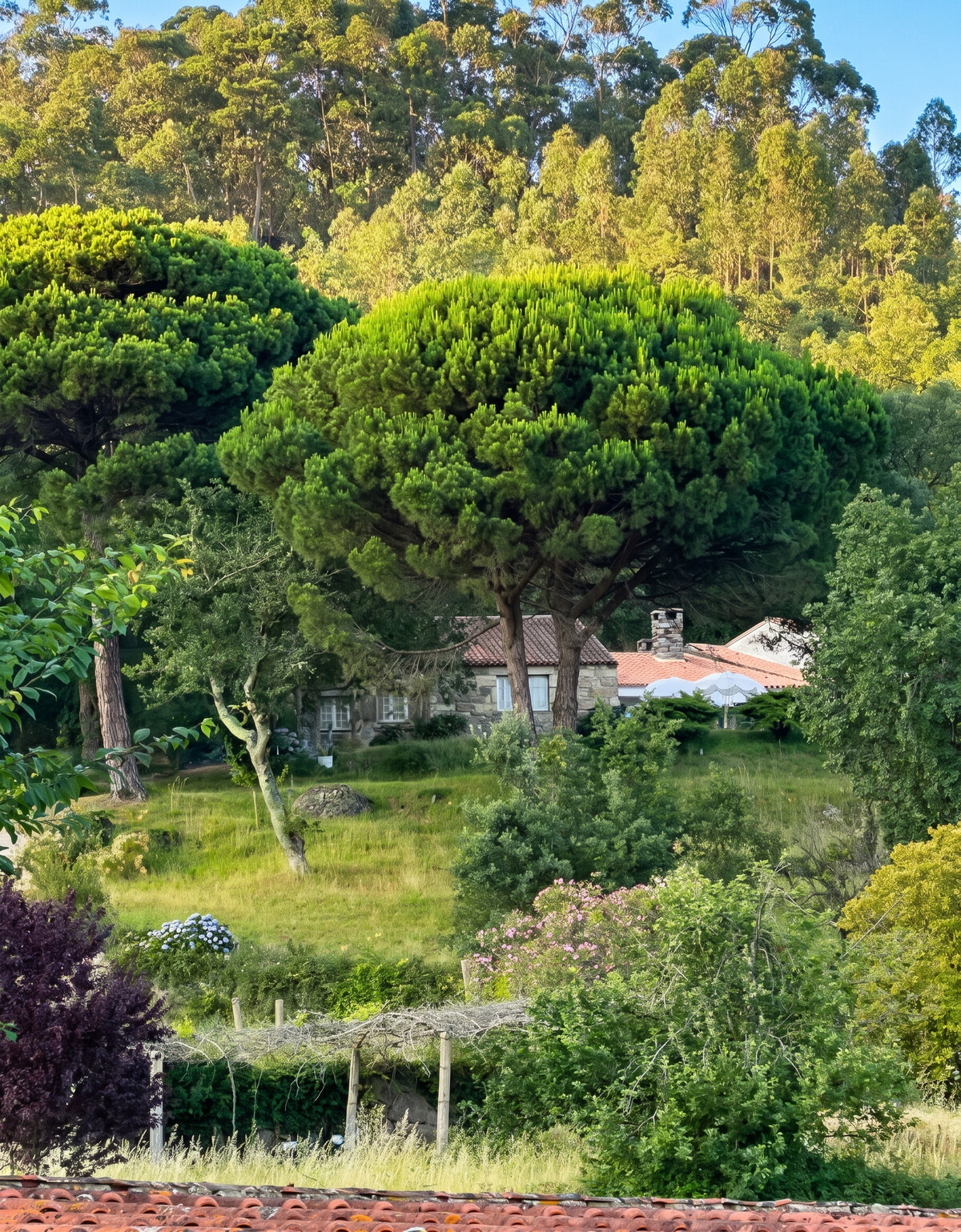 Villa avec piscine privée et vue montagne à Curvos, 12 personnes - Photo 46