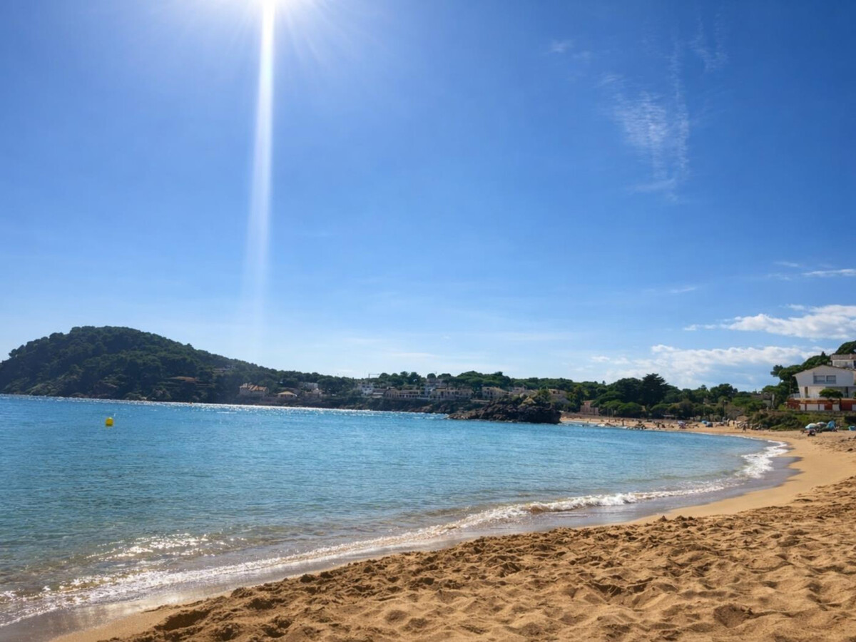 Appartement 1 chambre avec jardin, 50 m de la plage - Photo 12