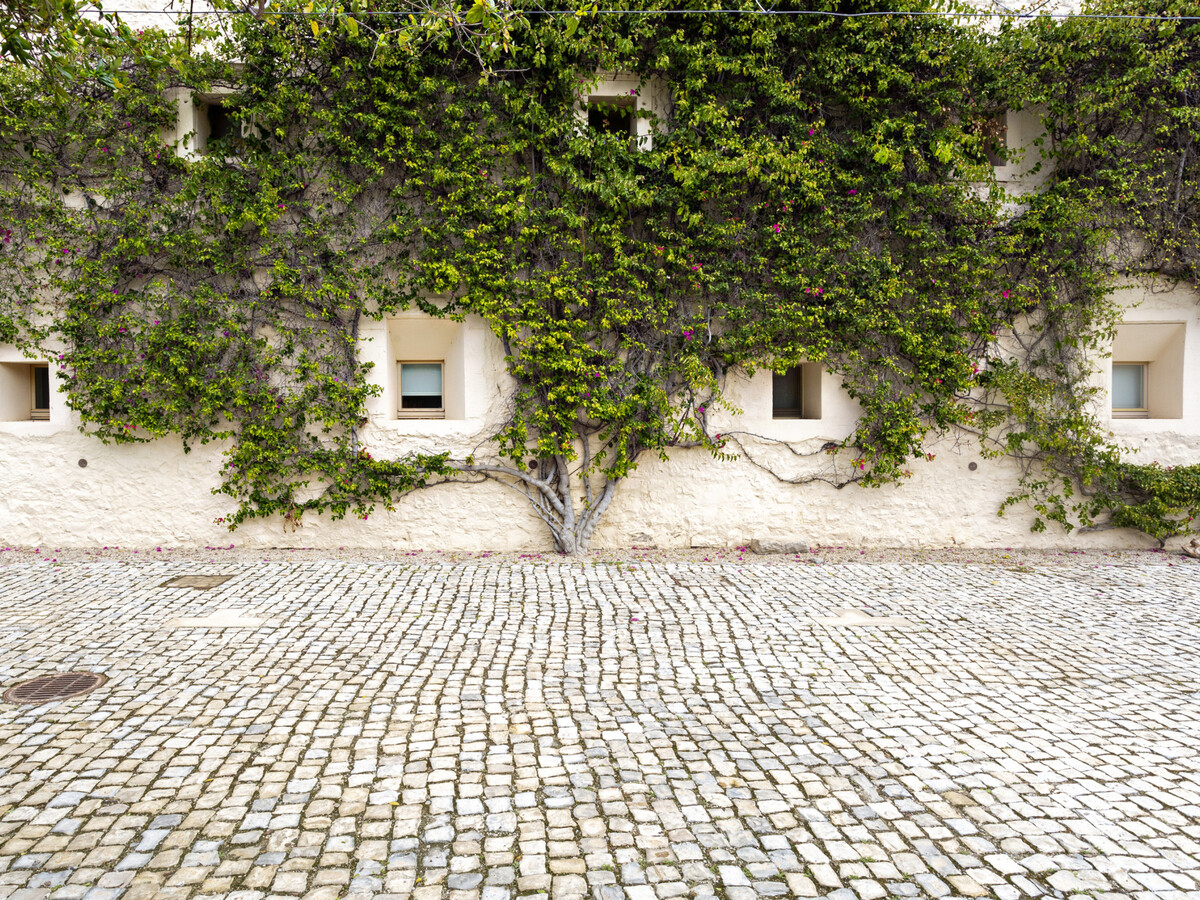 Appartement dans un couvent historique rénové, piscine à Tavira - Photo 15