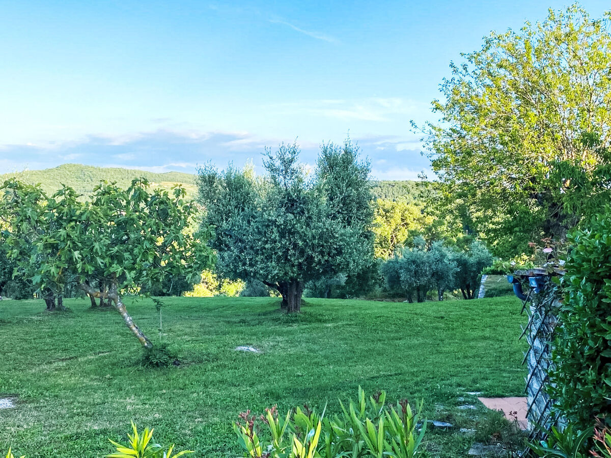 Fiore di Mandorlo – Appartement Chianti, vue panoramique - Photo 3