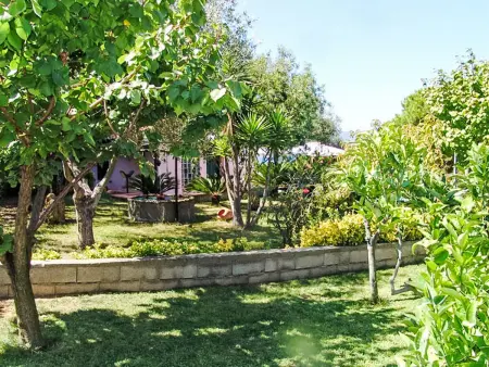 Villa Cecilia - 8 pers. avec piscine à Capoliveri - Photo 27