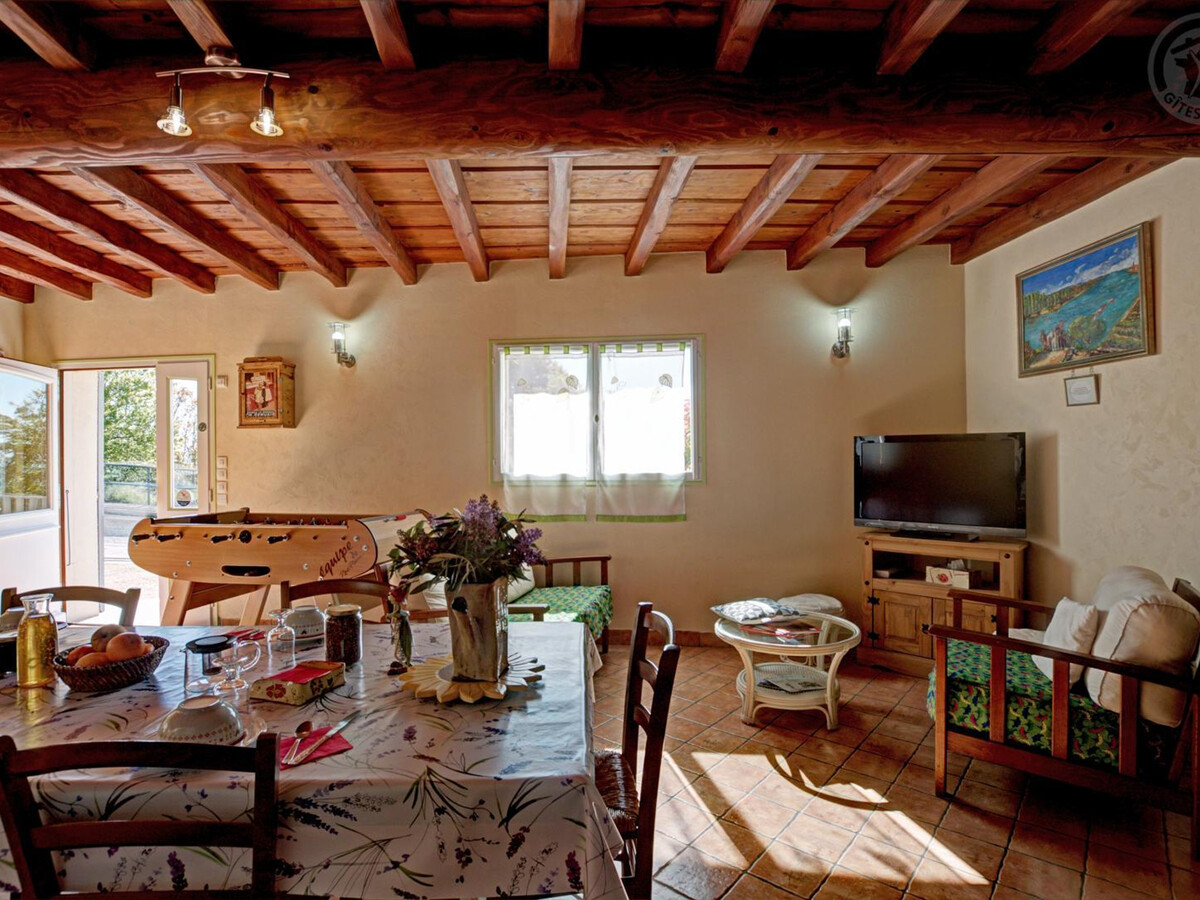 Le Piégonnier, gîte 10 pers. à Chavanay, cour fermée - Photo 9