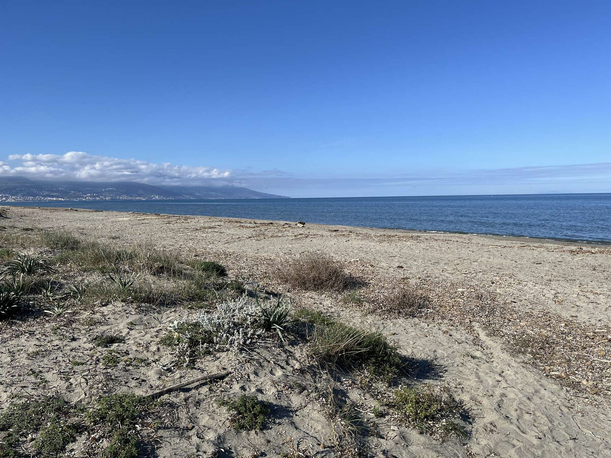 Duplex climatisé 50 m de la plage - Borgo - Photo 17